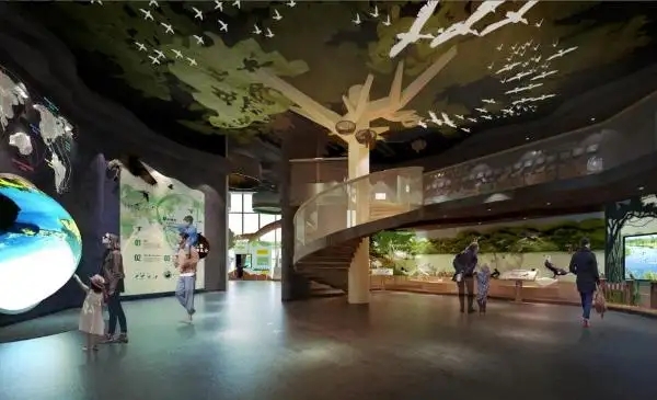 展館設(shè)計(jì) ，展館 ，鑫時(shí)空